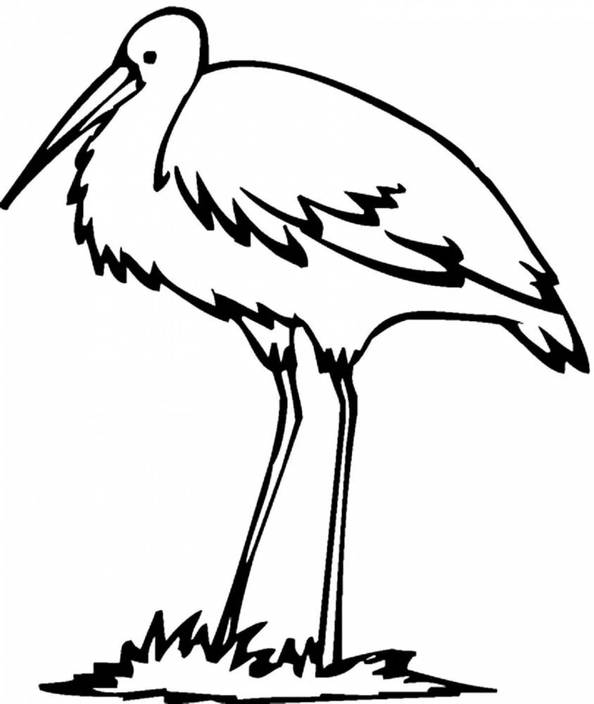 Funny heron coloring book for kids