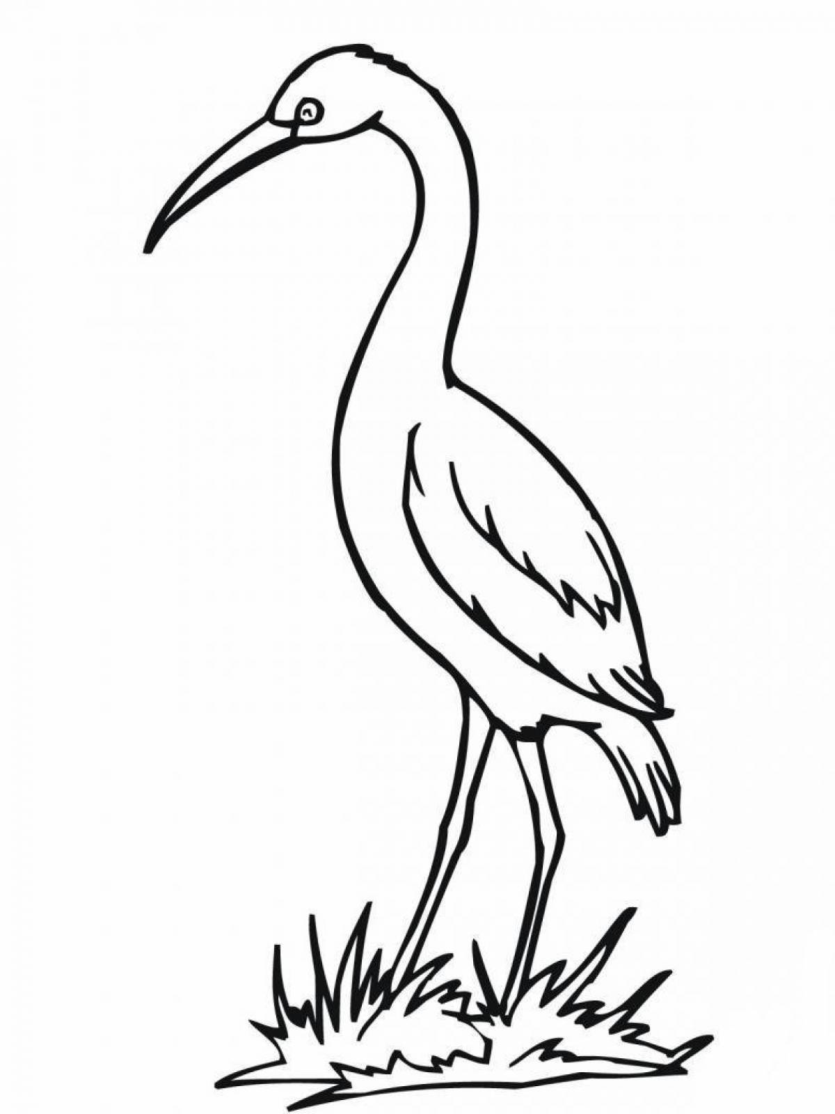 Living heron coloring pages for kids