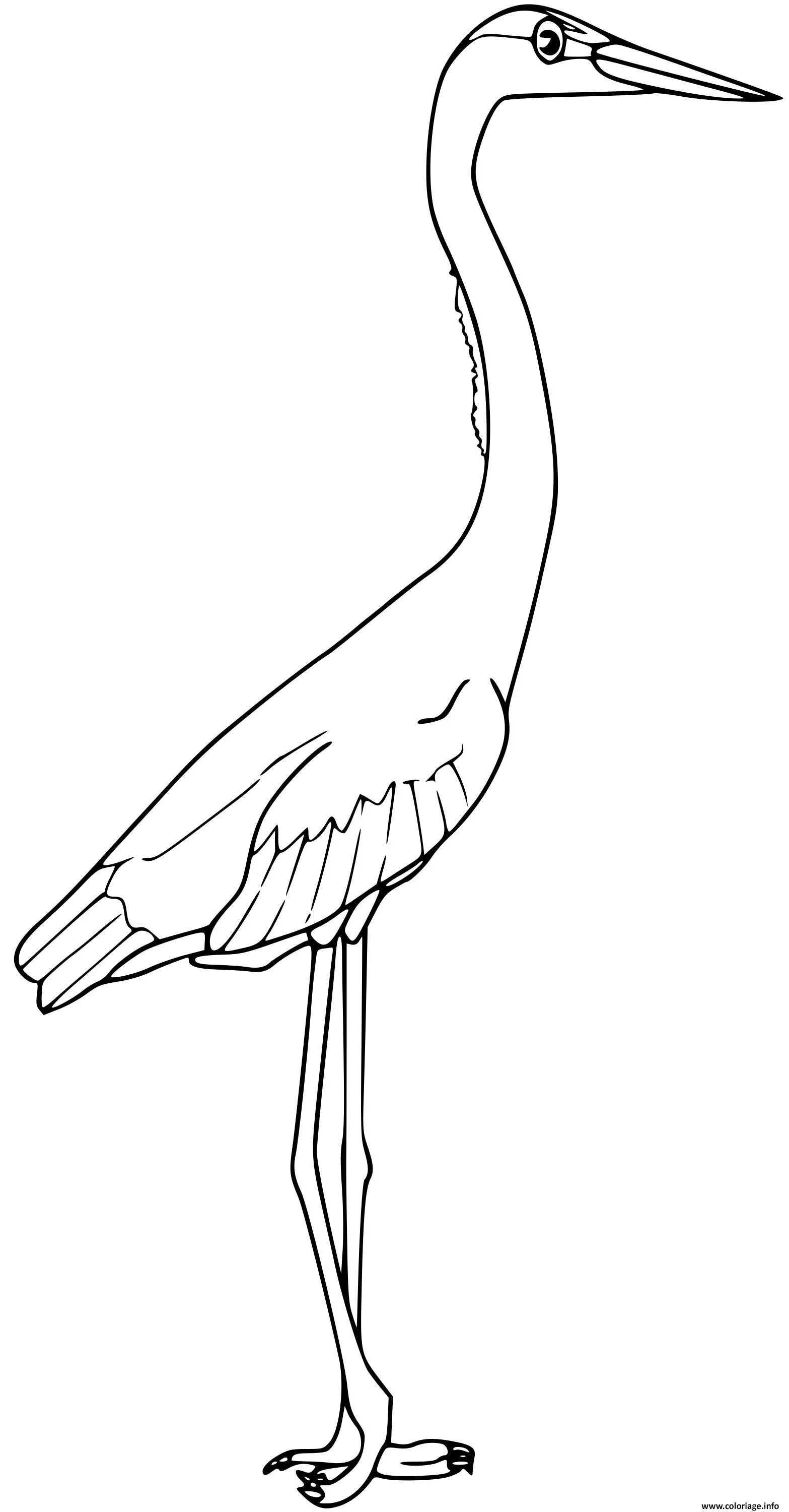 Colouring funny heron for kids