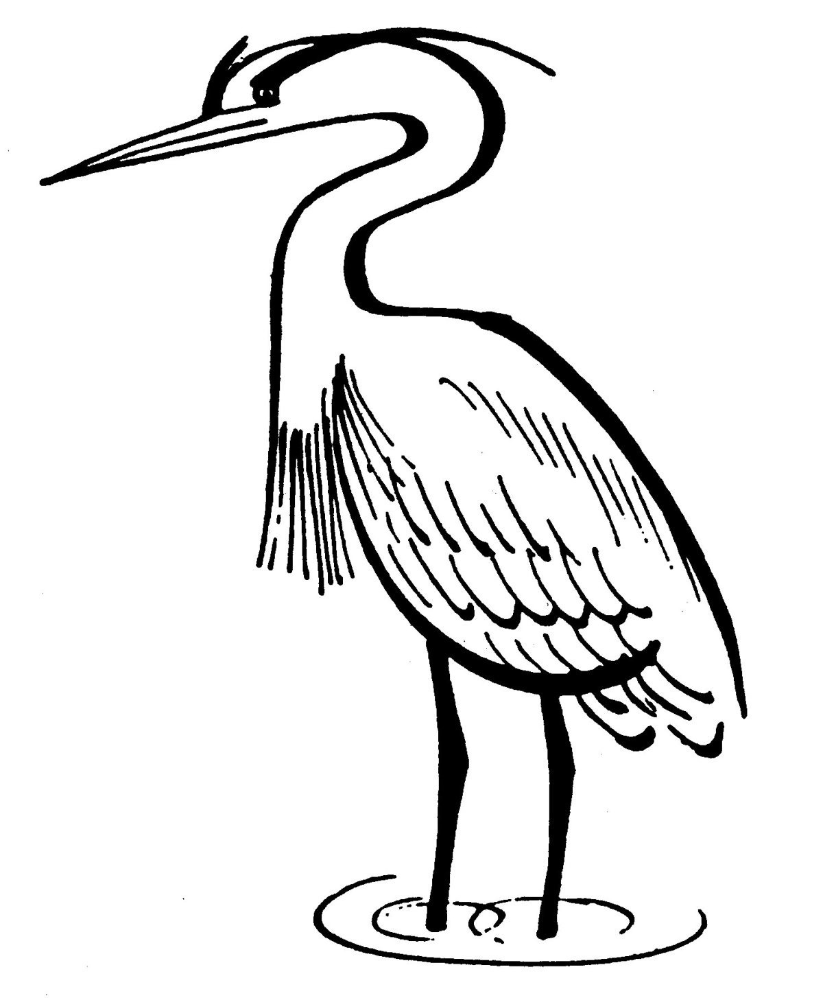 Witty heron coloring pages for kids