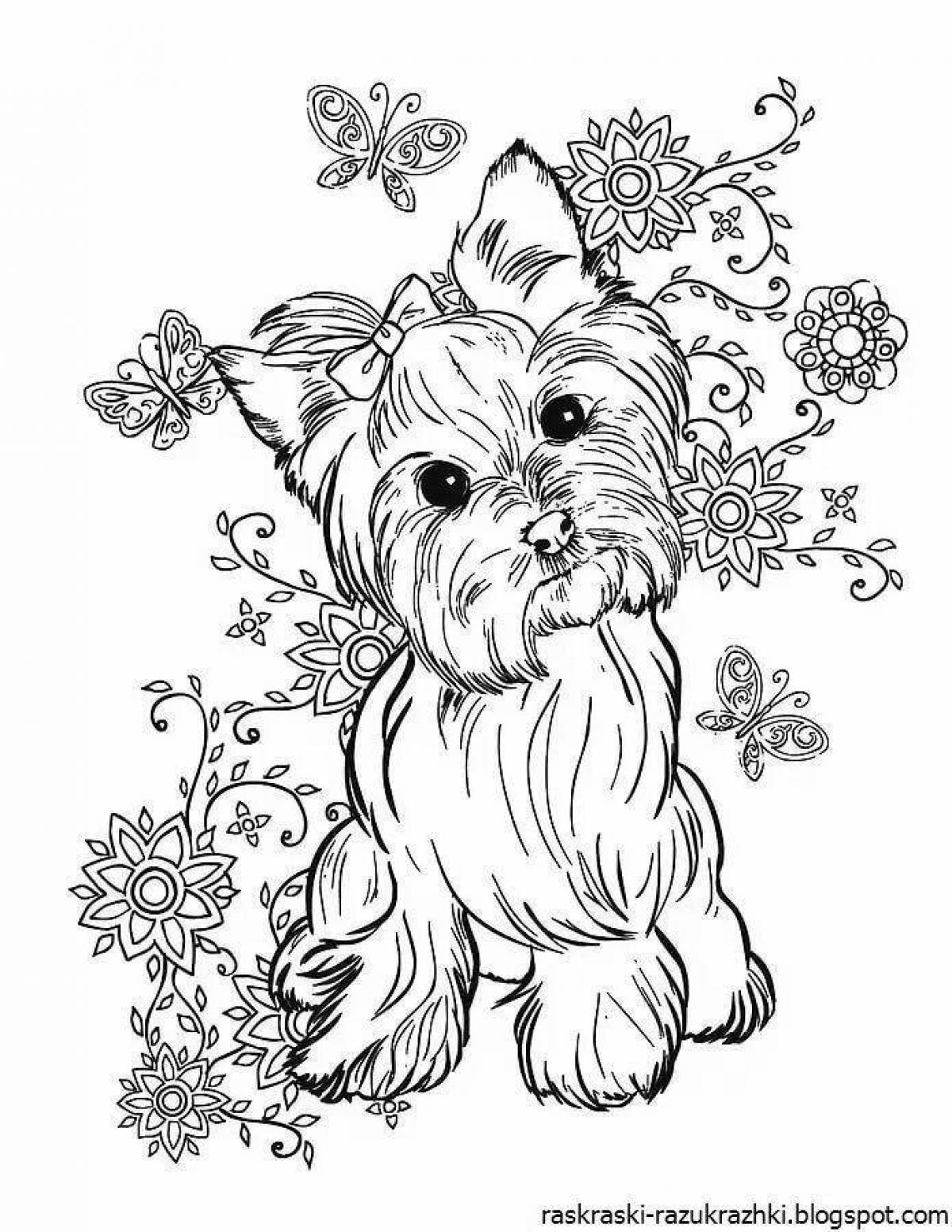 Joyful coloring for girls 9 years old - very beautiful animals