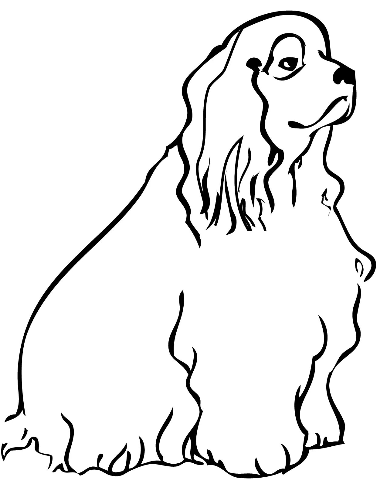 Coloring page charming cocker spaniel