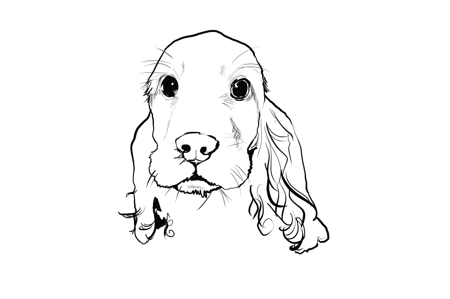 Sweet Cocker Spaniel Coloring Page
