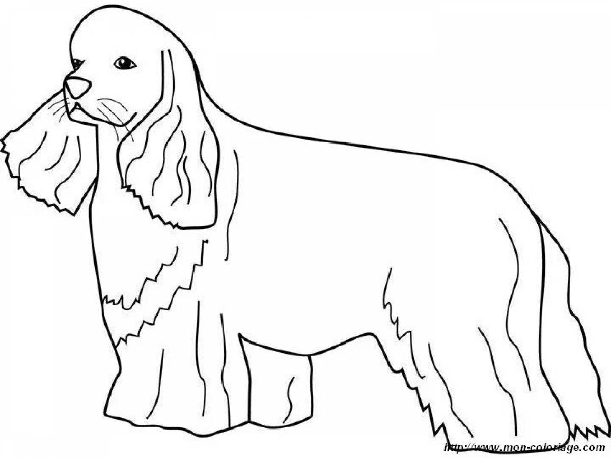 Coloring page graceful cocker spaniel
