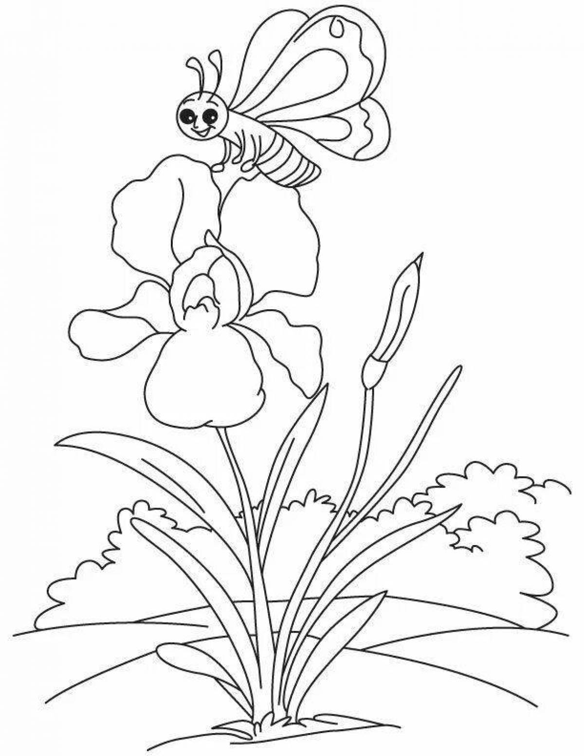 Изящная раскраска цветок ириса