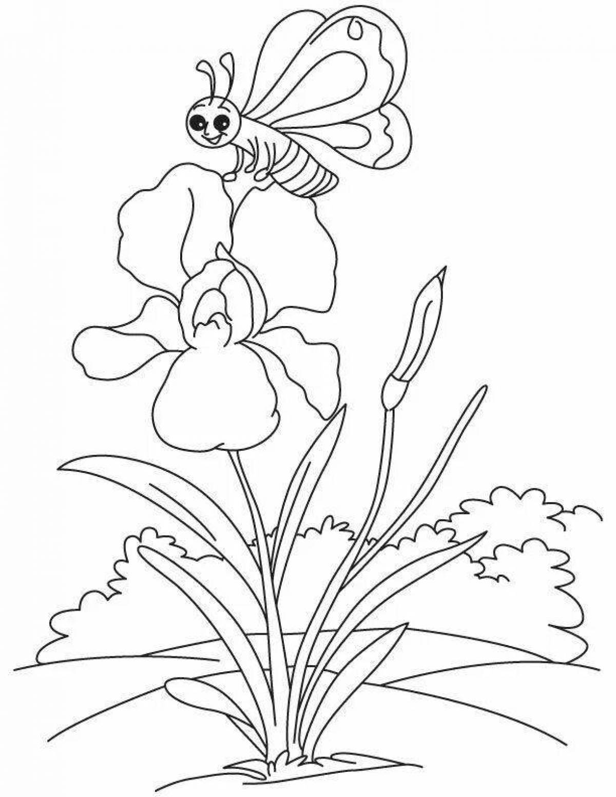 Изящная раскраска цветок ириса