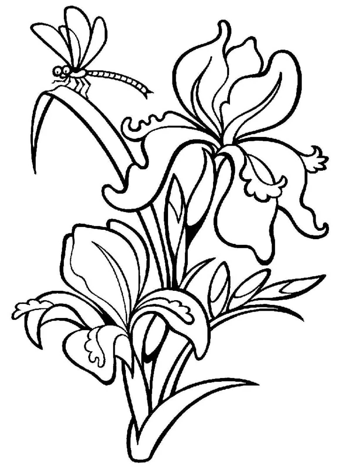Буйная раскраска цветок ириса
