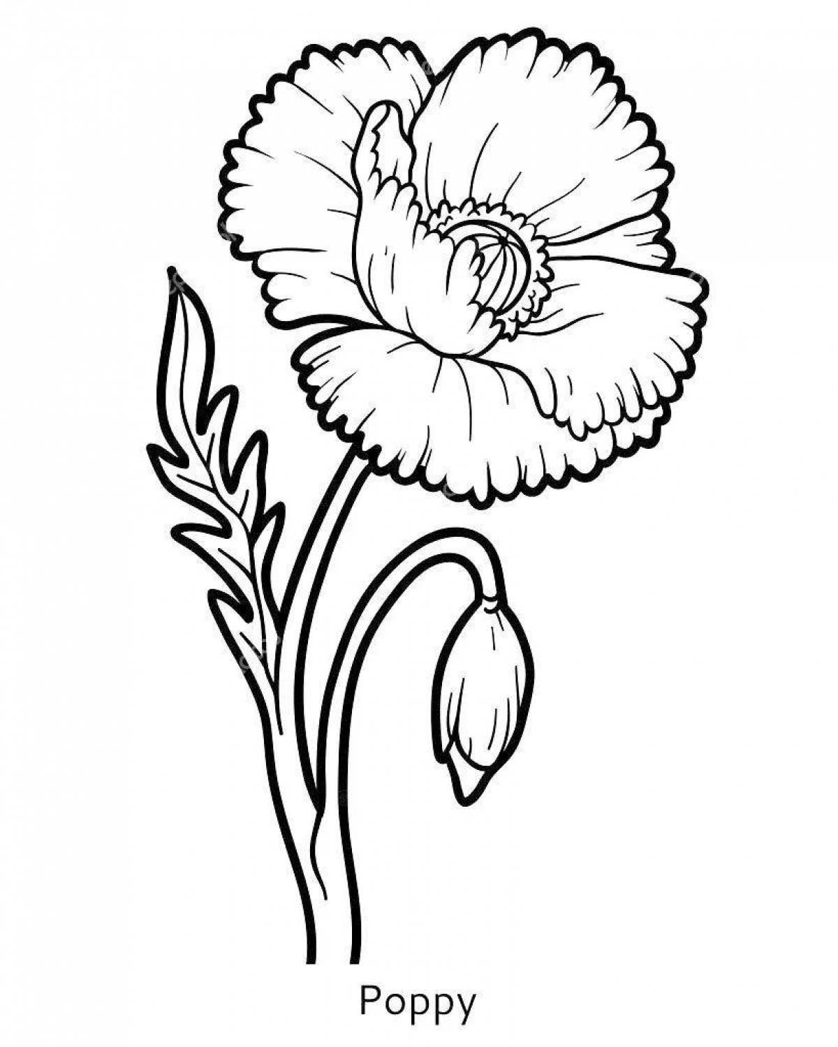 Adorable poppy coloring book for kids