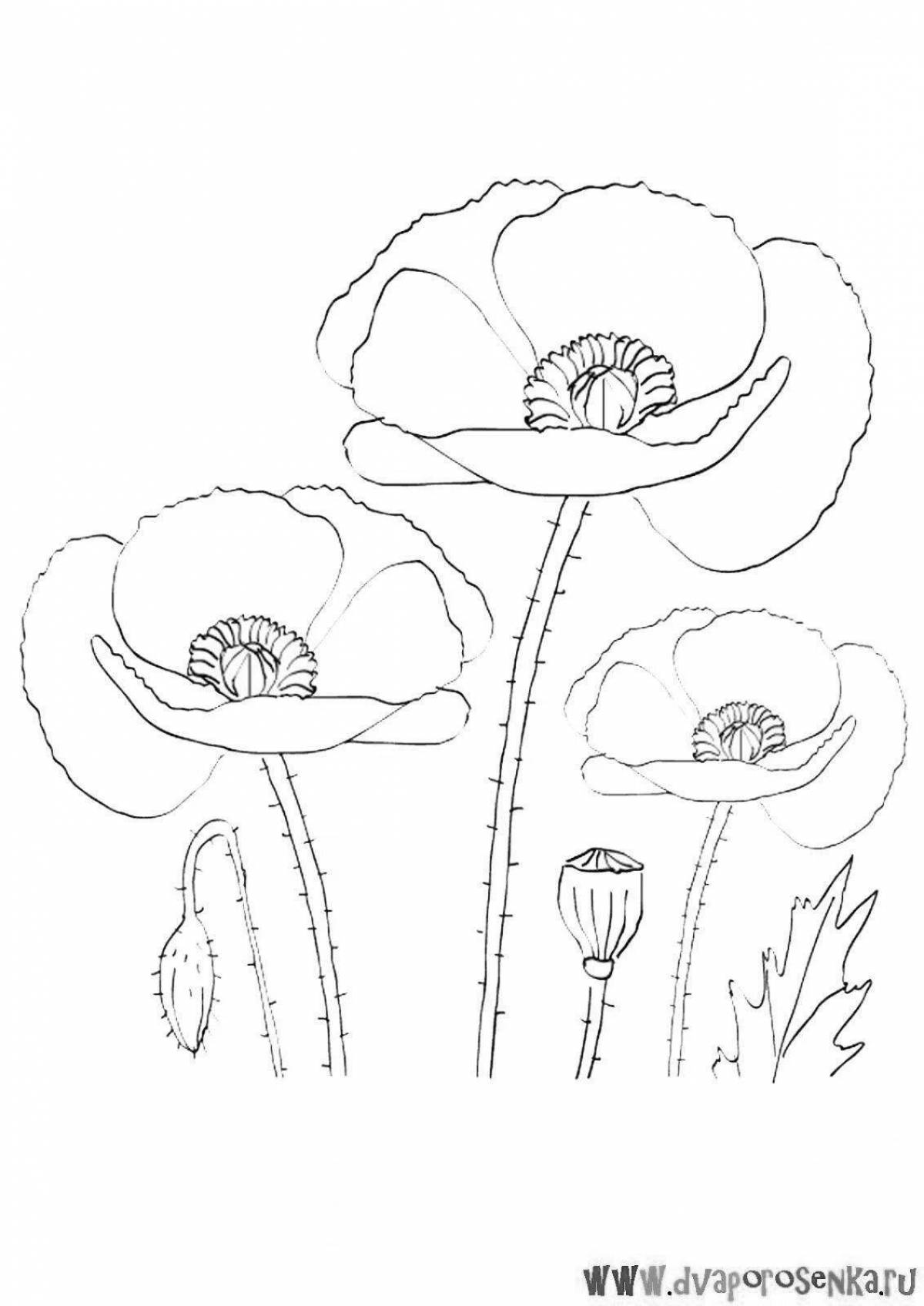 Cute poppy coloring for kids