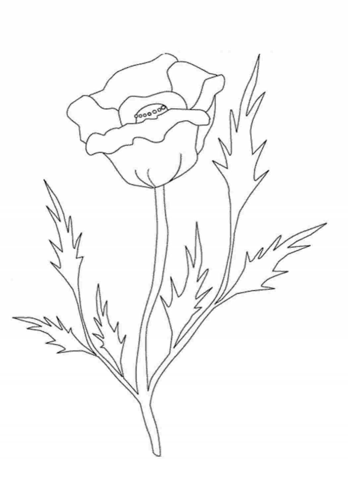 Great poppy coloring book for kids