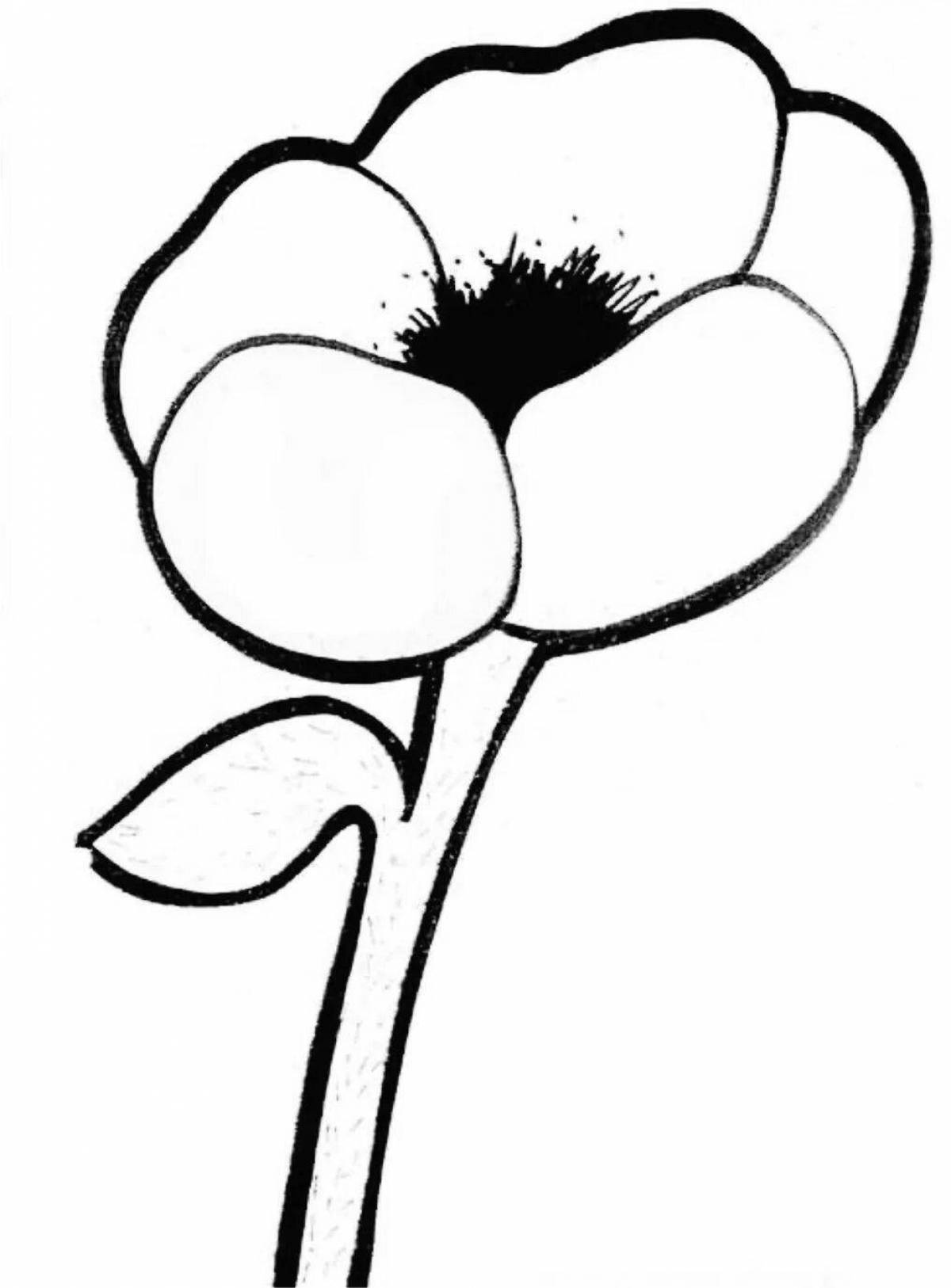 Раскраска большой мак для детей
