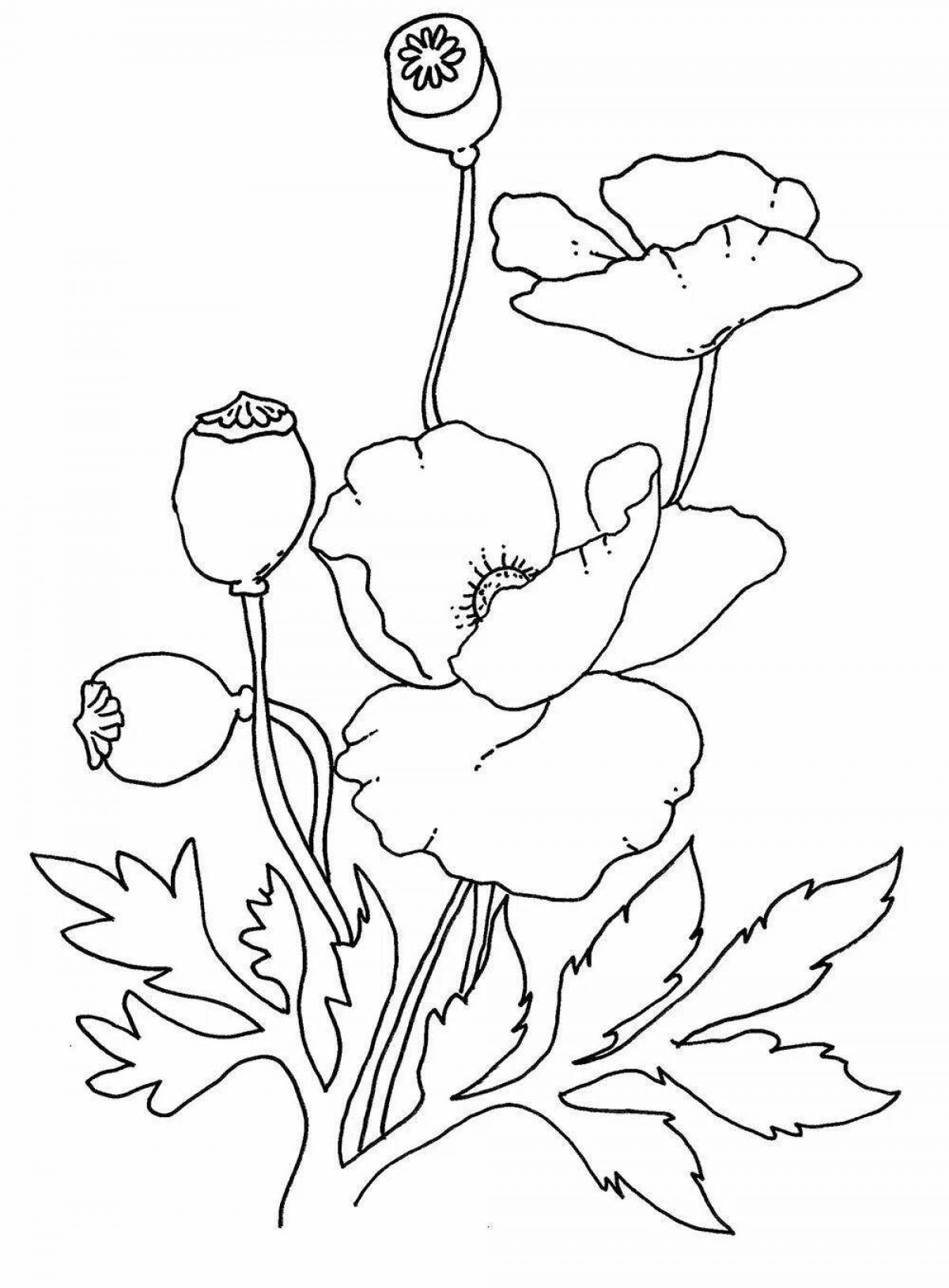 Fabulous poppy coloring book for kids