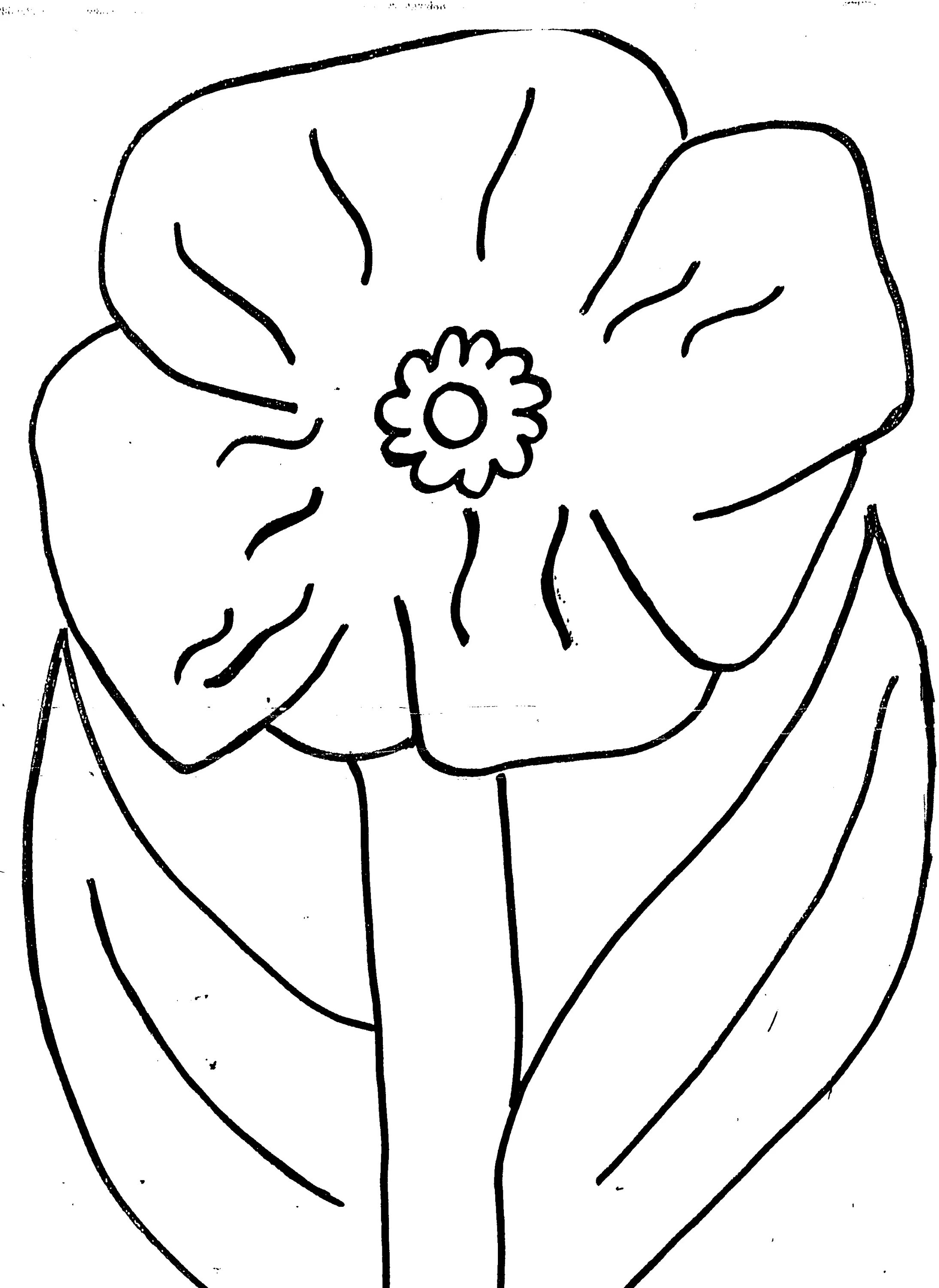 Glowing poppy coloring book for kids