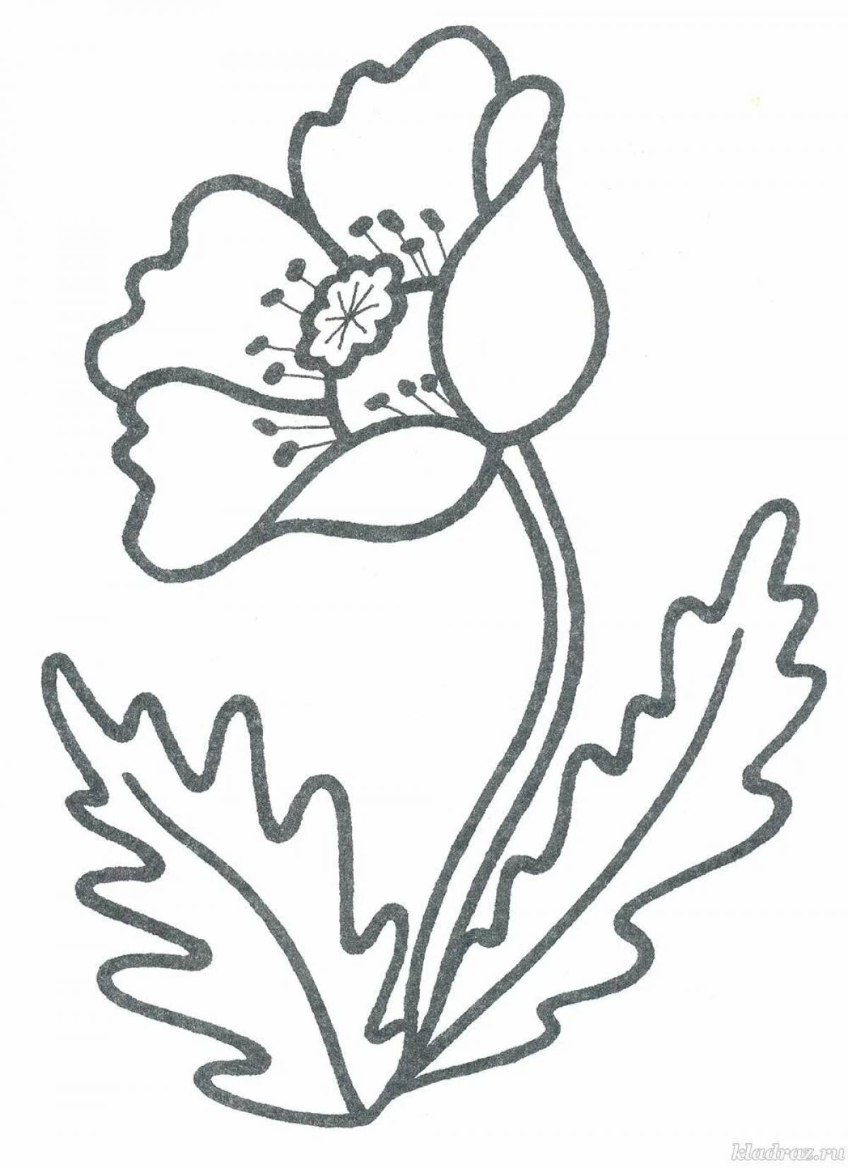 Glamorous poppy coloring book for kids