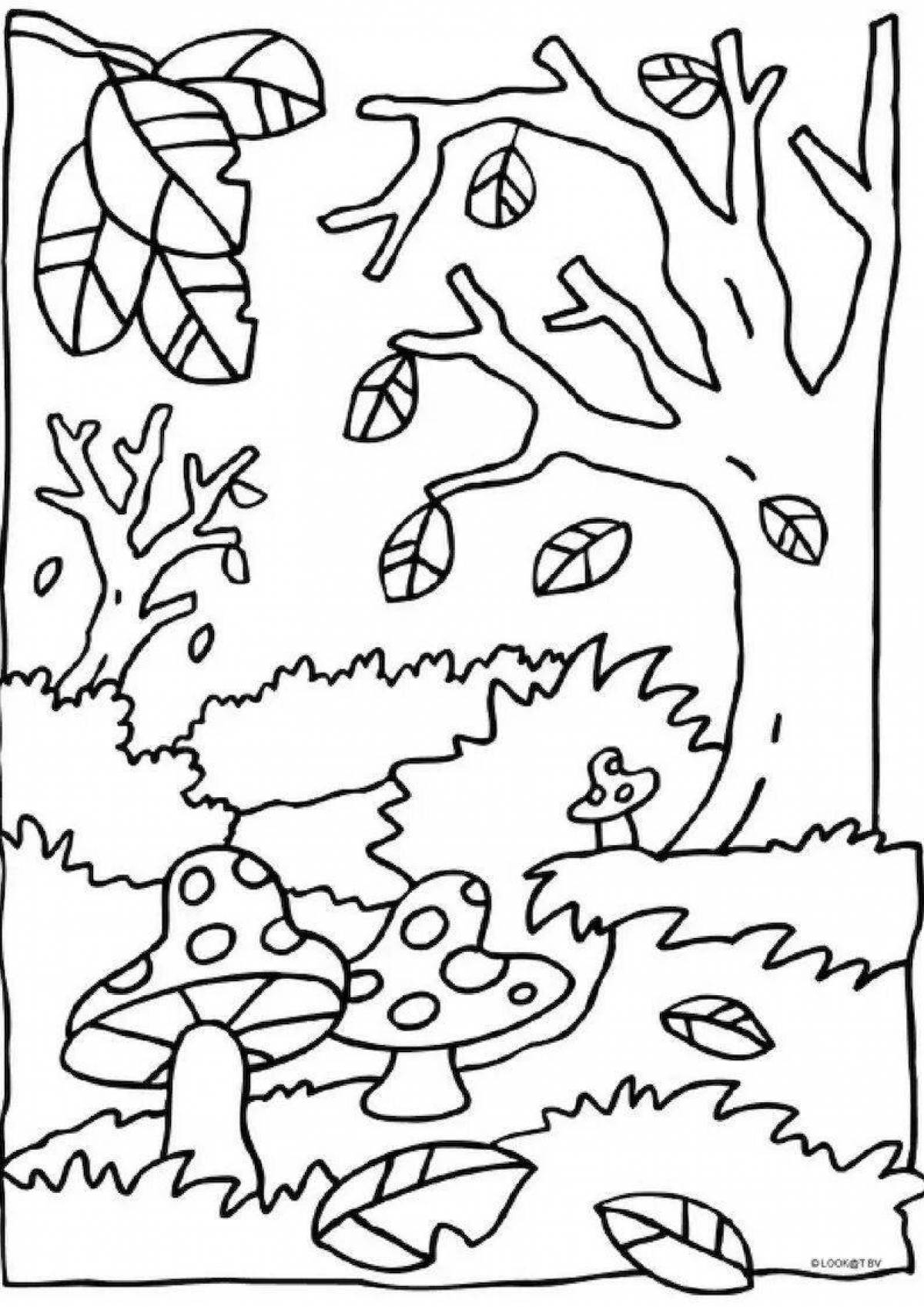 Harmonious autumn forest coloring page