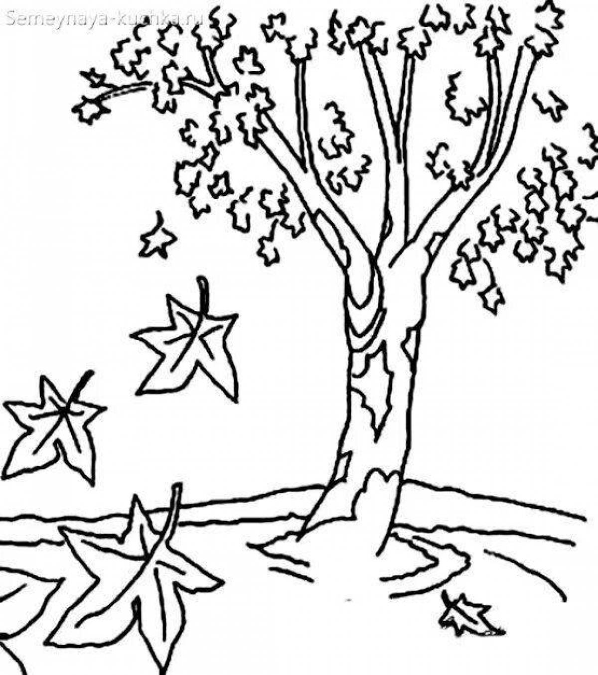 Coloring page lush autumn forest