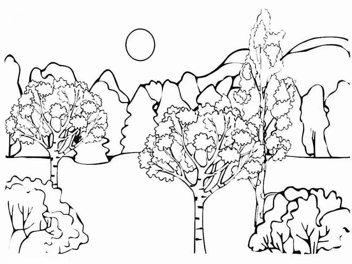 Раскраска осень в лесу - скачать и распечатать в формате А4