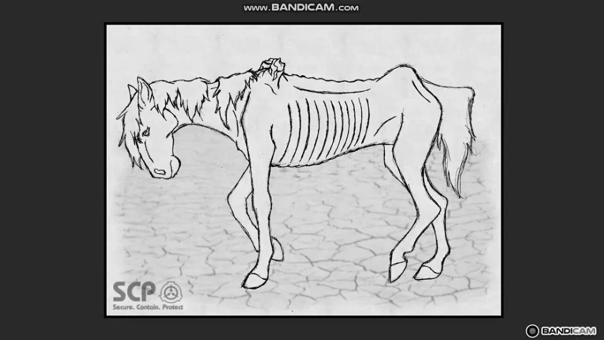 Coloring page gorgeous lanky horse