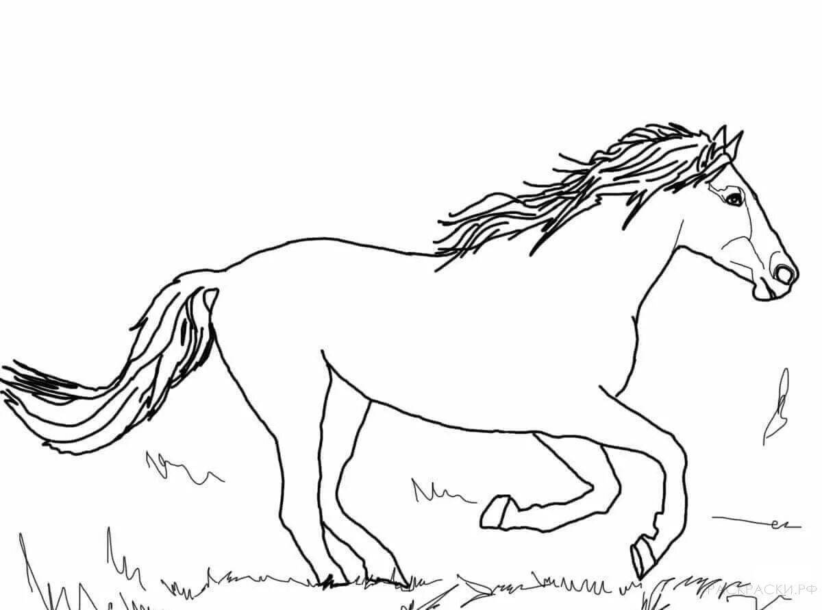 Great lanky horse coloring book