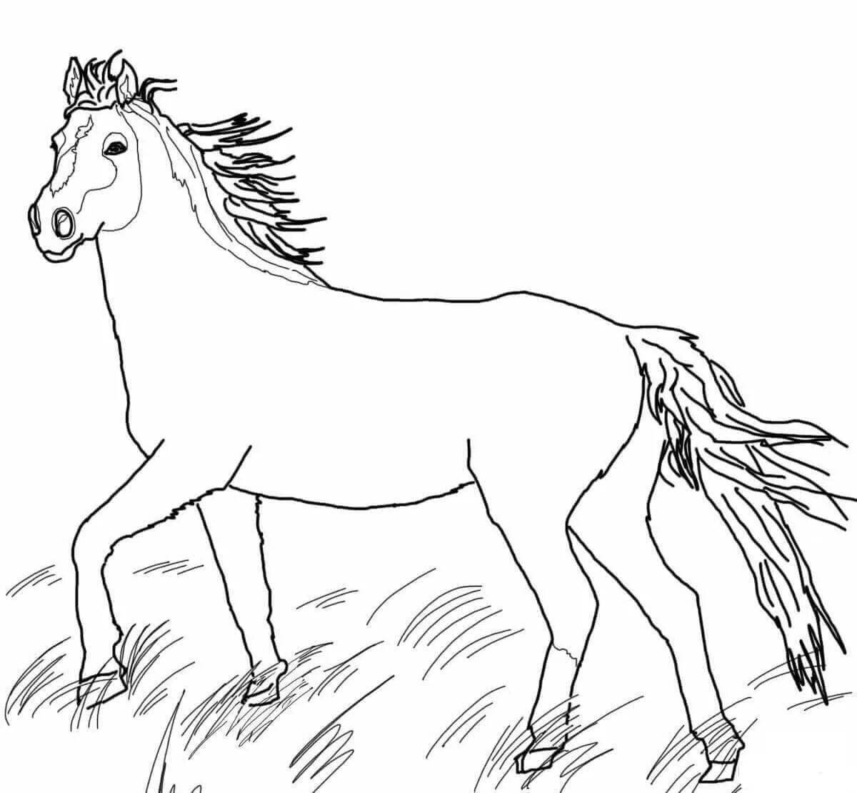 Exquisite lanky horse coloring page