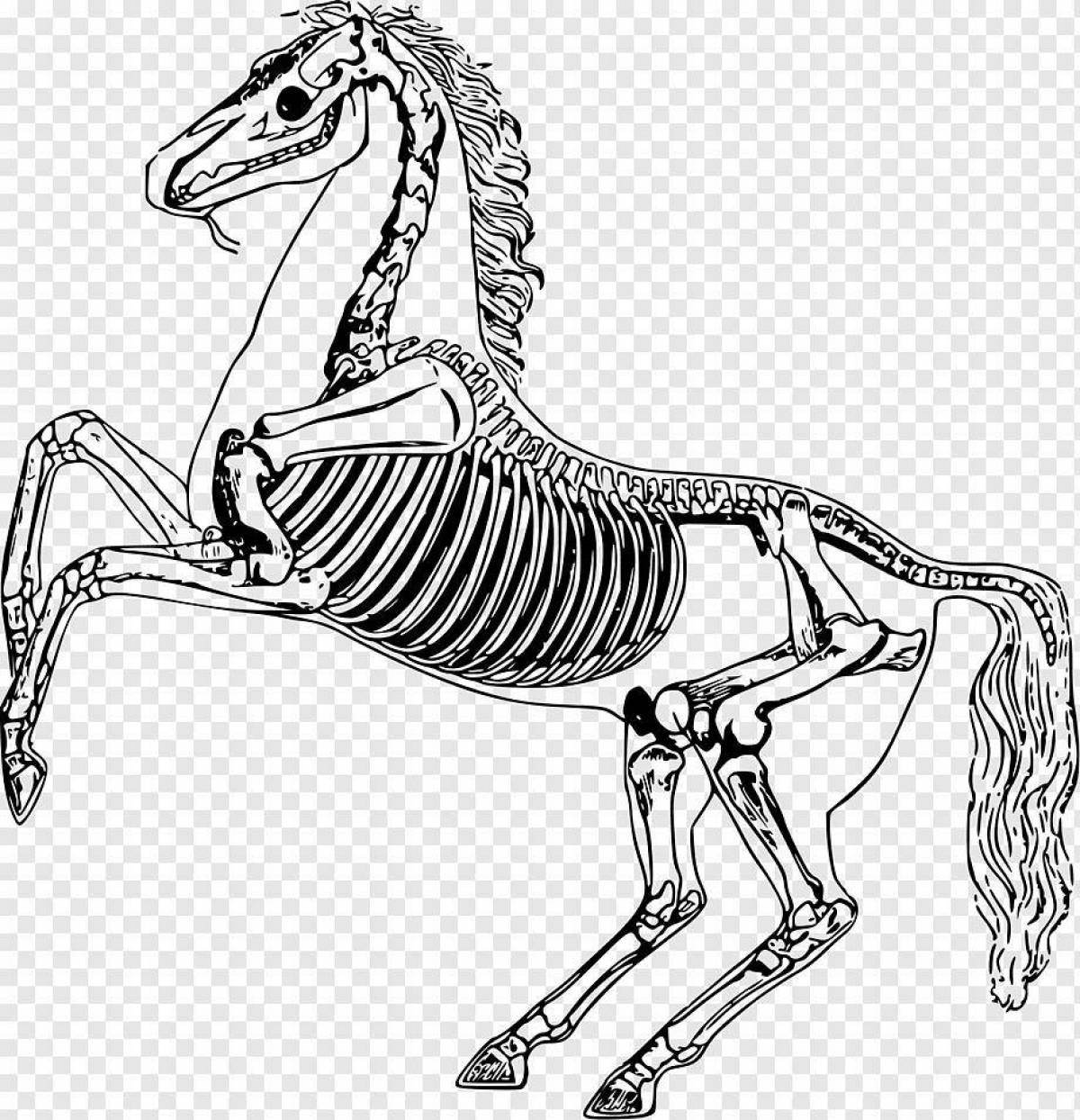 Анимированная страница раскраски долговязой лошади