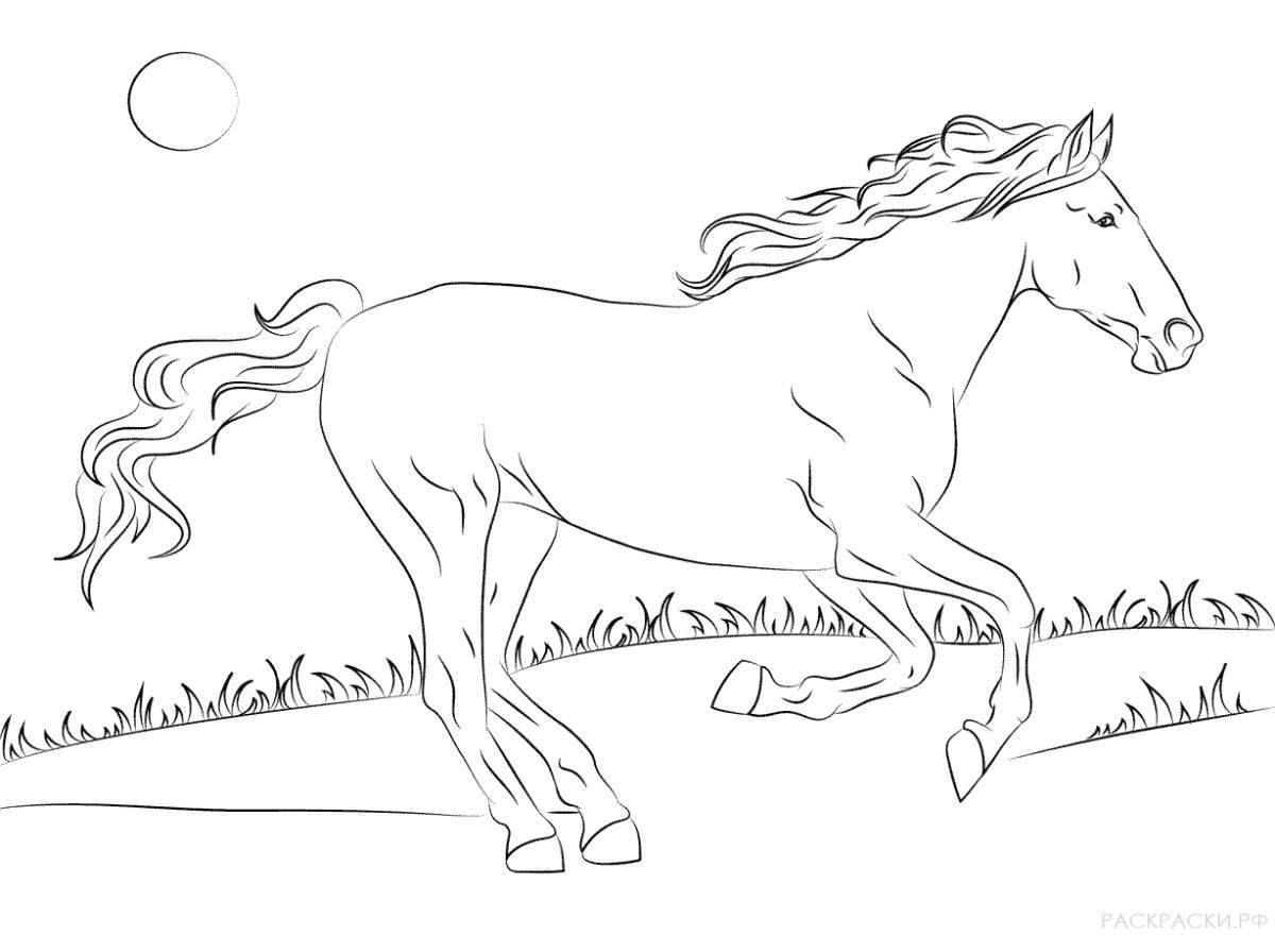 Раскраска смелая долговязая лошадь