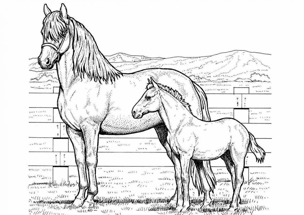 Восхитительная долговязая лошадь-раскраска