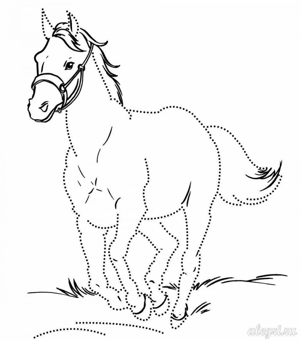 Роскошная раскраска долговязой лошади