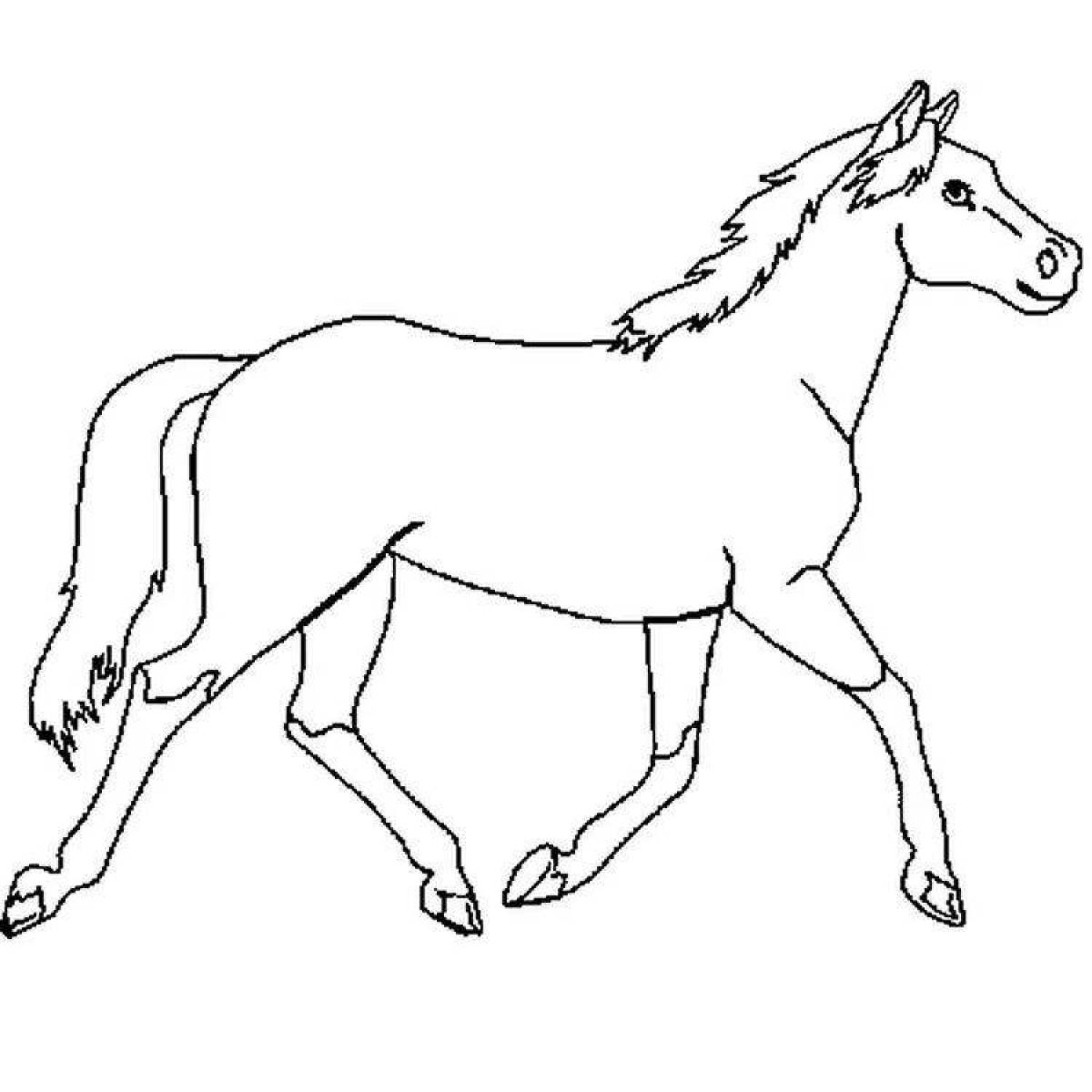 Lanky horse #3
