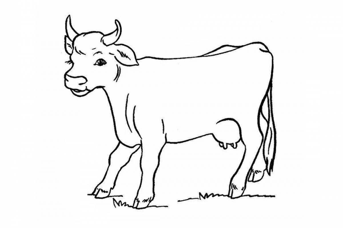 Fun coloring calf for kids