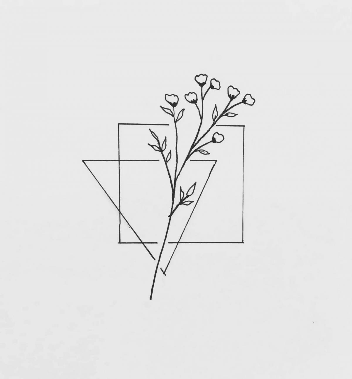 Majestic coloring aesthetics