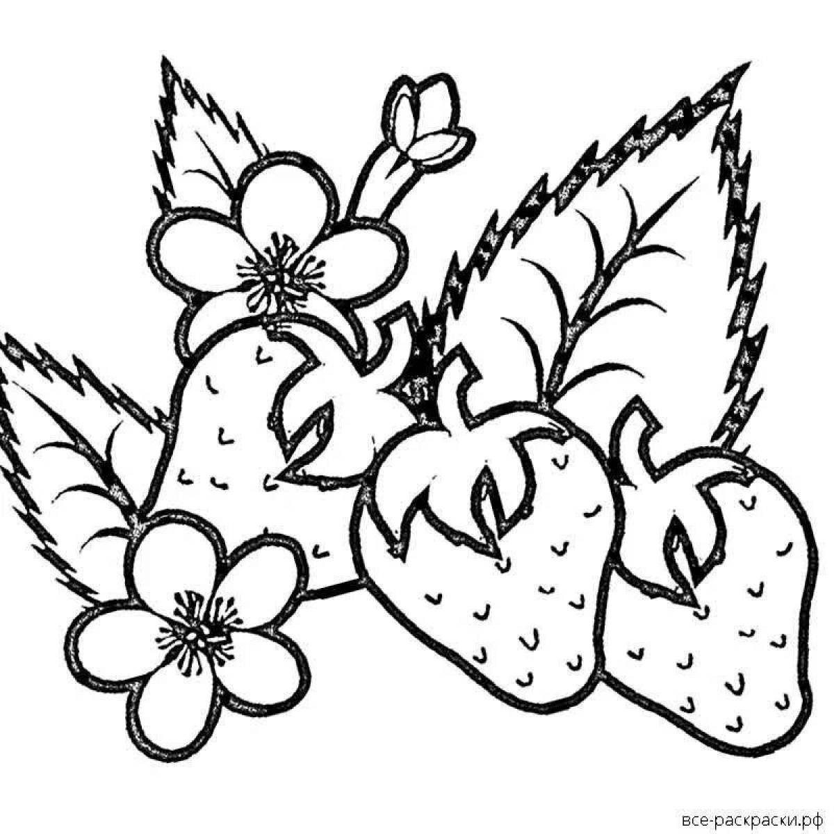 Coloring-imagination coloring page what can
