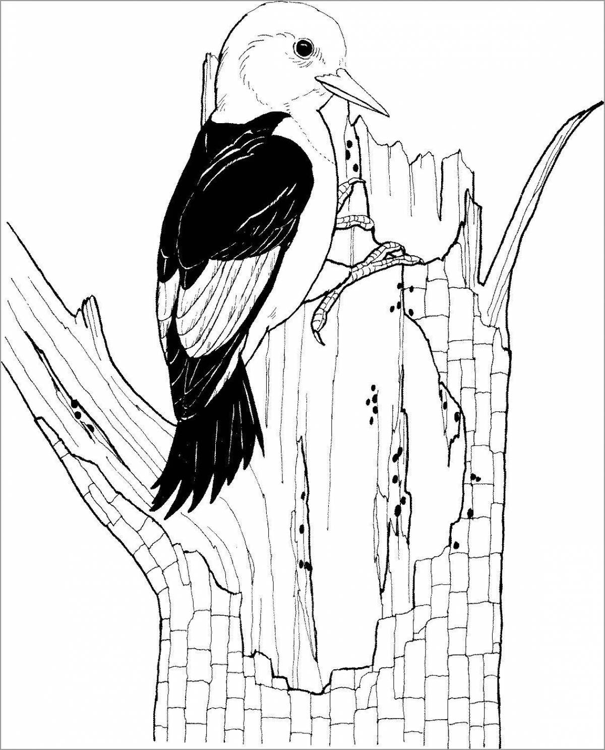 Exuberant woodpecker on a tree