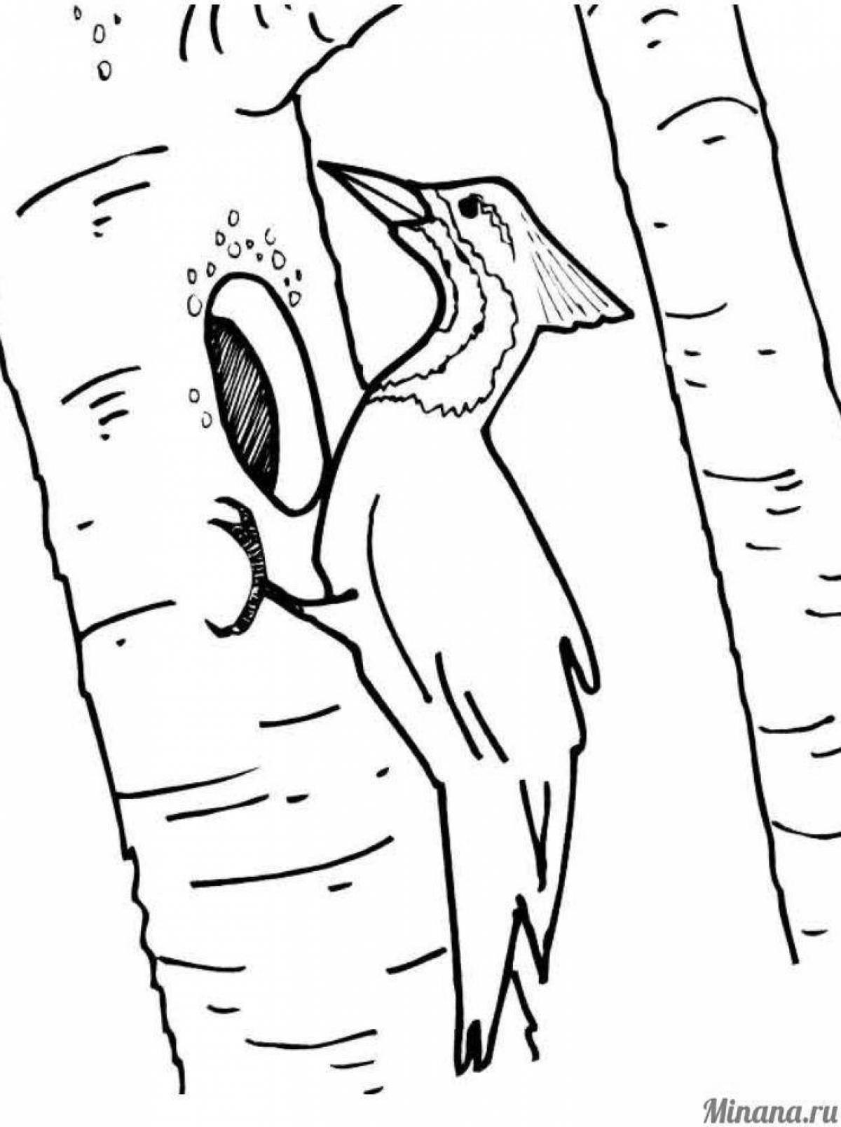 Glorious woodpecker on a tree