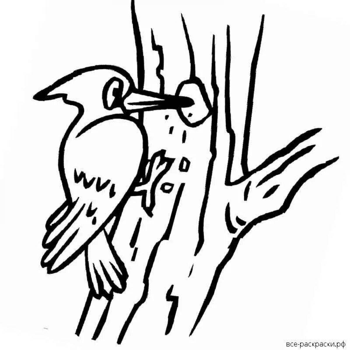 Charming woodpecker on a tree