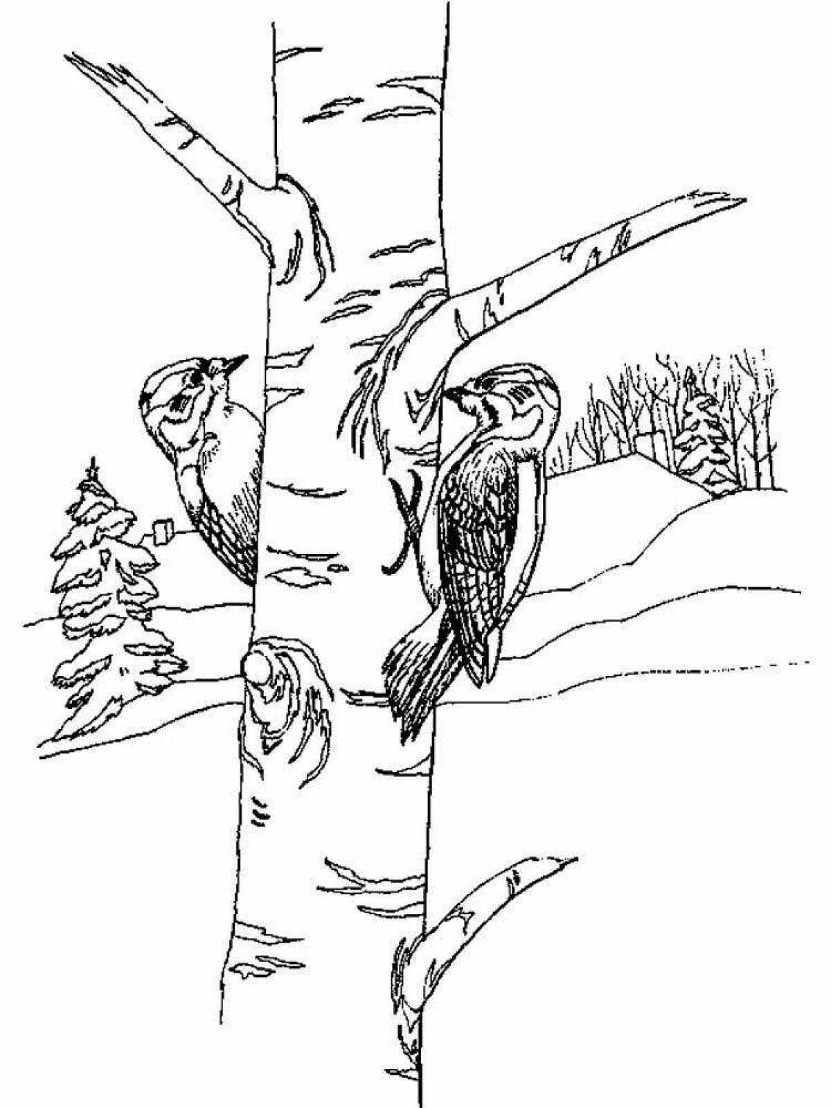 Charm woodpecker on the tree