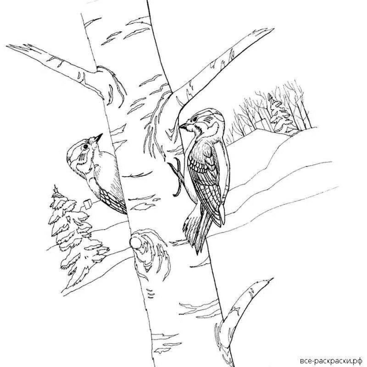 Потрясающий дятел на дереве