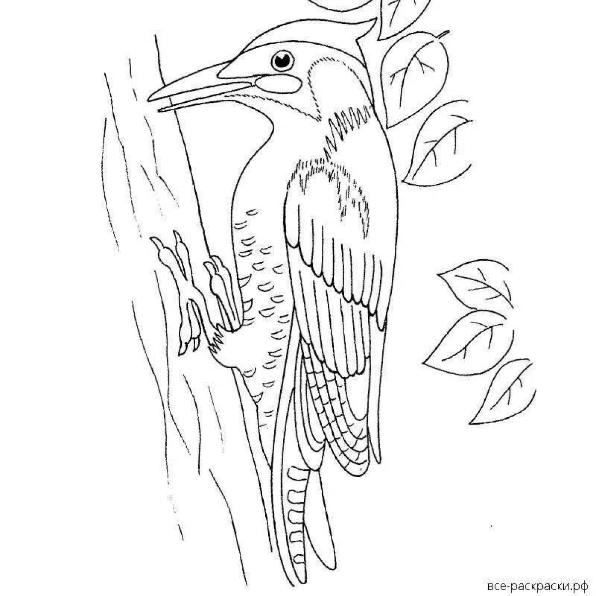 Woodpecker on a tree #4