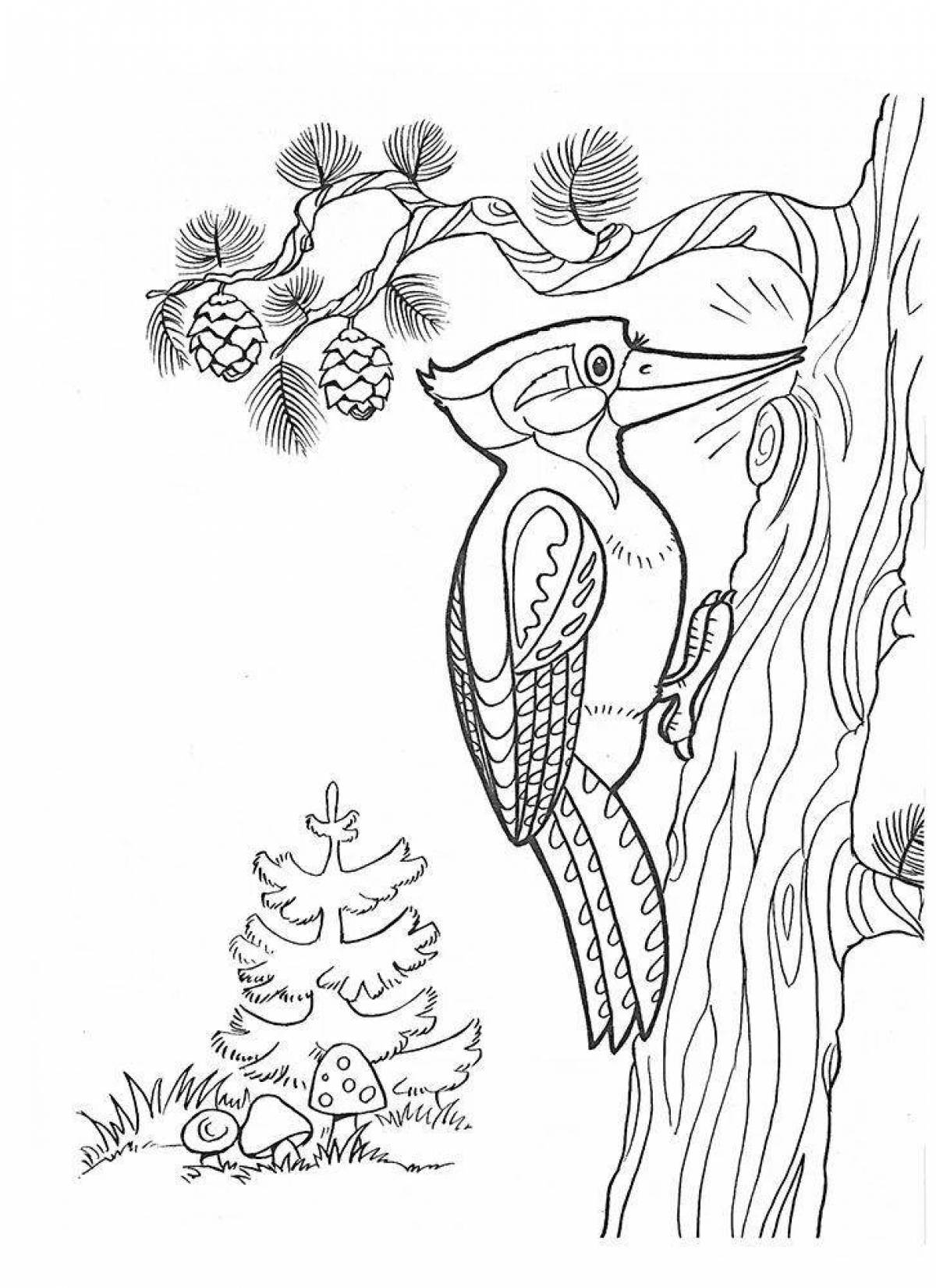 Woodpecker on a tree #5