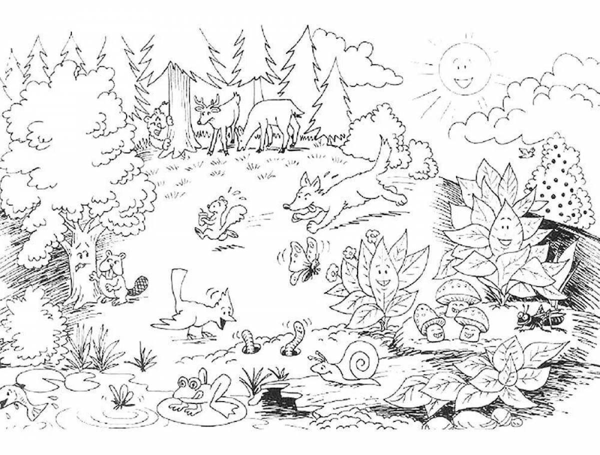 Curious coloring pages animals in the forest