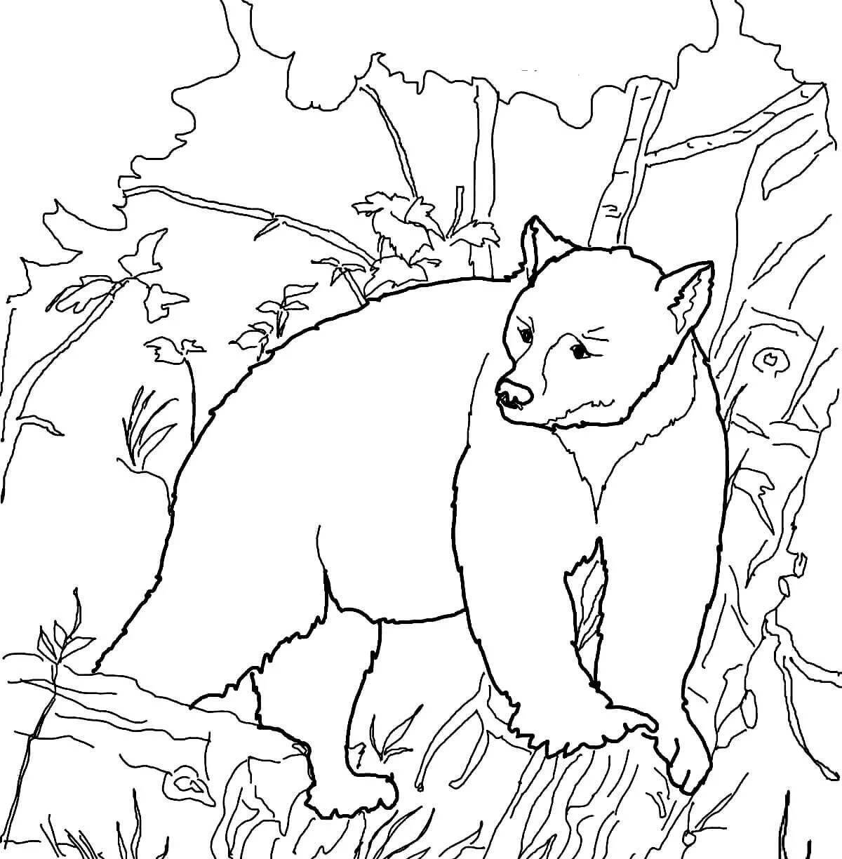 Fun coloring pages animals in the forest