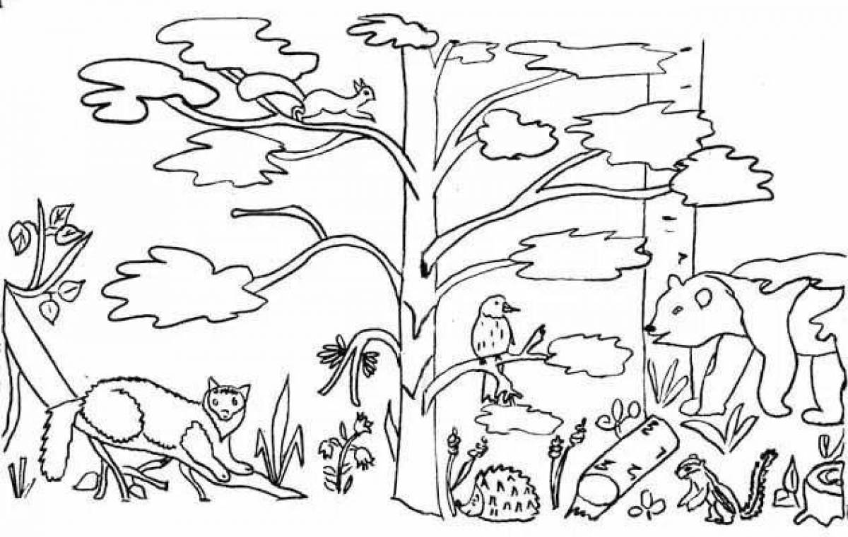 Раскраска день леса. Раскраска осенний лес. Осенний лес раскраска для детей. Раскраска леса для детей. Раскраска деревья в лесу.
