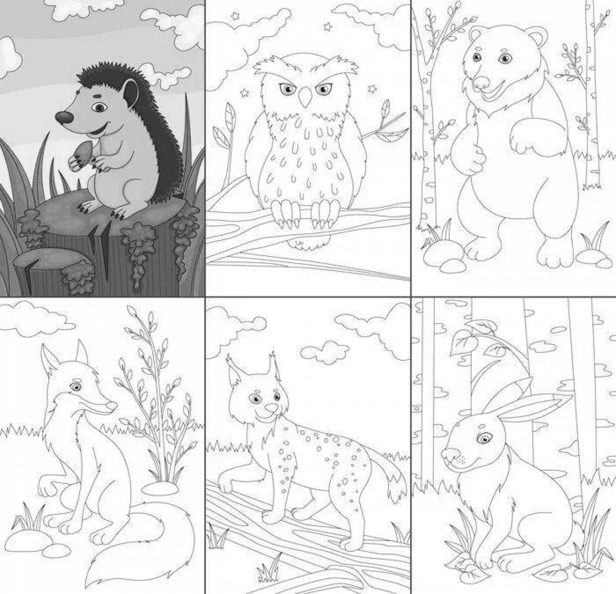 Fun coloring pages animals in the forest