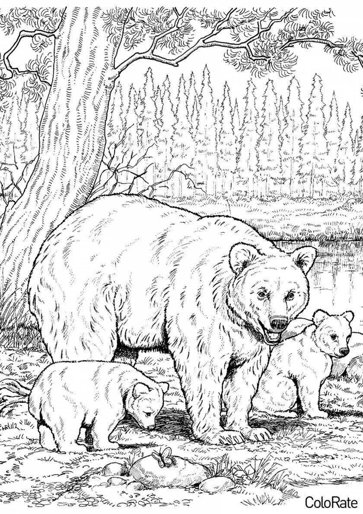 Раскраска величественный медведь в лесу