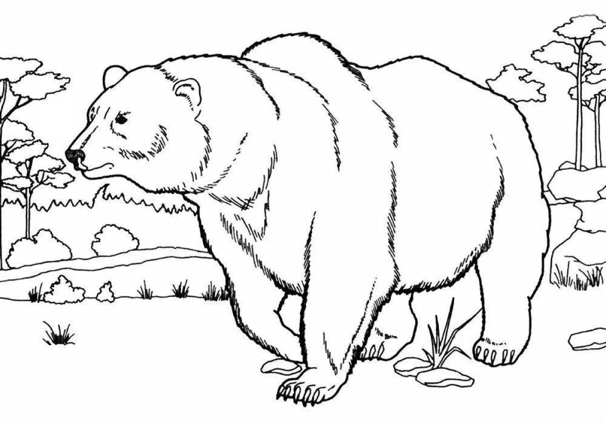 Coloring book playful bear in the forest