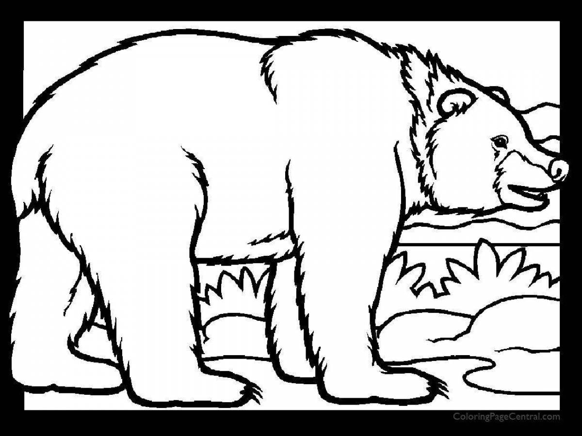 Curious bear in the forest coloring page