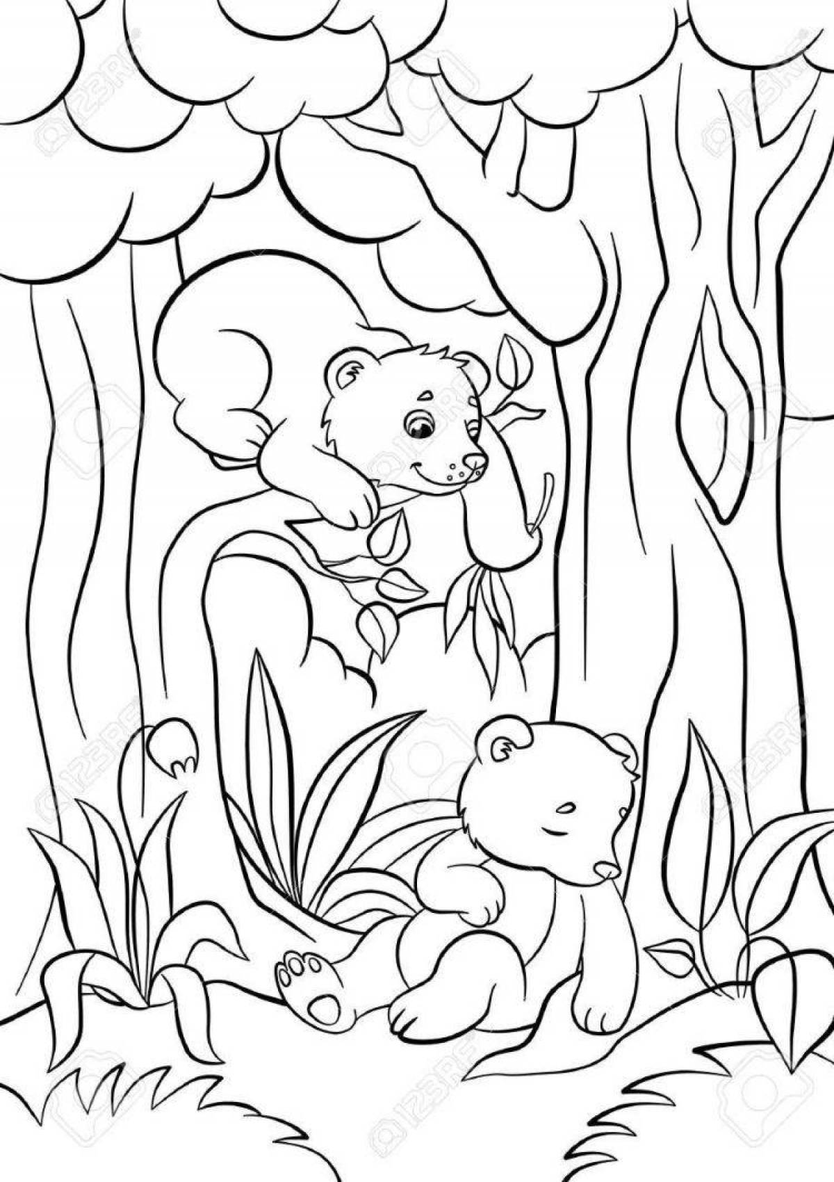 Live bear in the forest coloring book