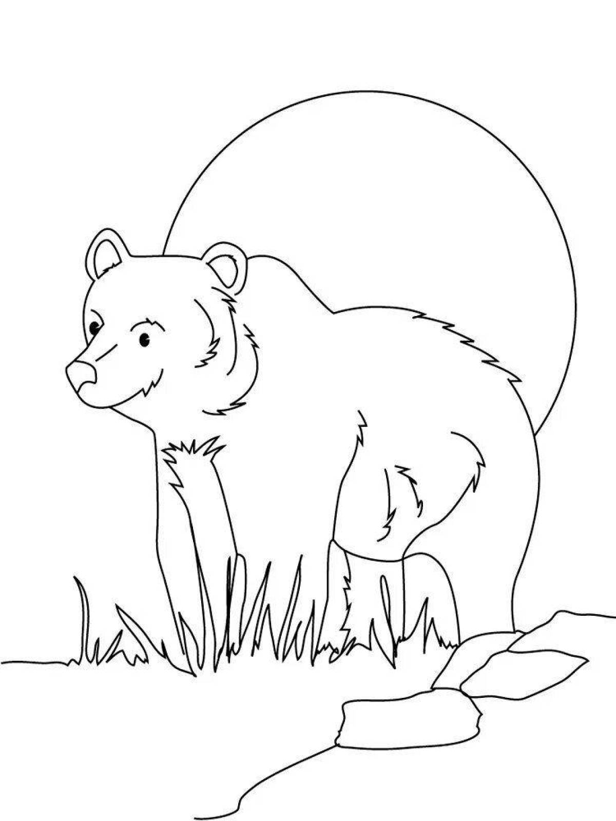 Coloring book adventurous bear in the forest