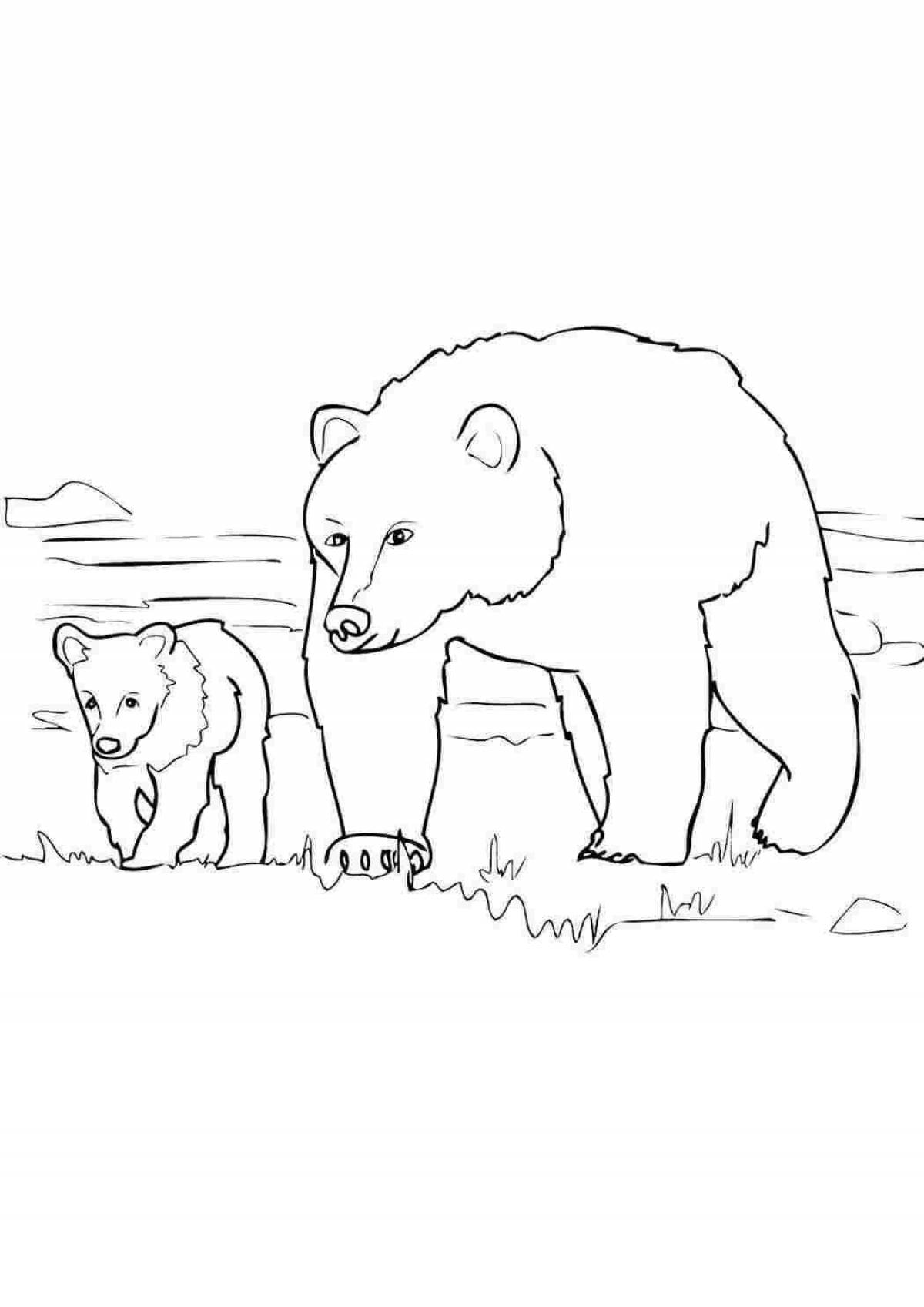 Coloring book calm bear in the forest