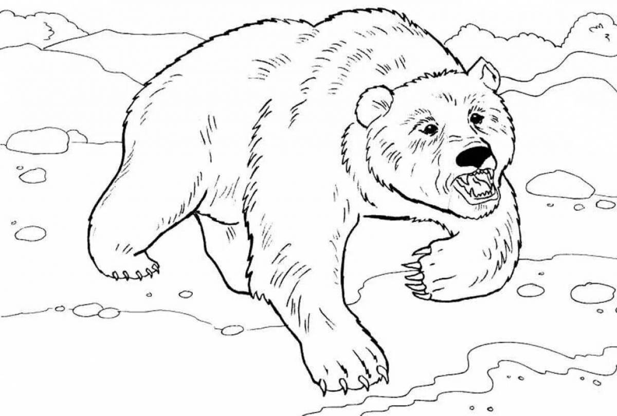 Coloring live bear in the forest